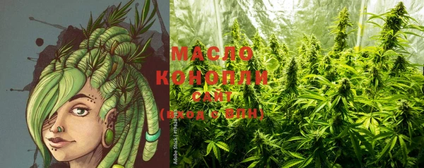 мдпв Михайлов