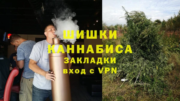 ГАЛЛЮЦИНОГЕННЫЕ ГРИБЫ Михайловка