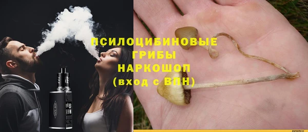 мдпв Михайлов