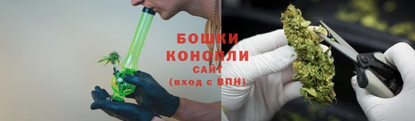 ГАЛЛЮЦИНОГЕННЫЕ ГРИБЫ Михайловка
