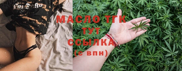 мдпв Михайлов