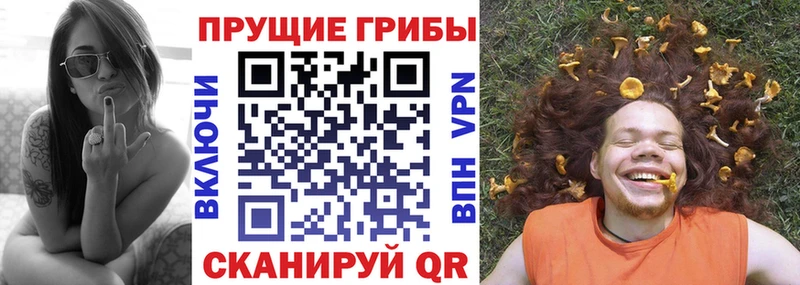 Псилоцибиновые грибы Psilocybe Нягань